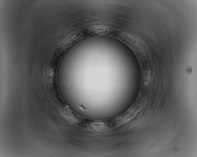 X0000100310279200806121047