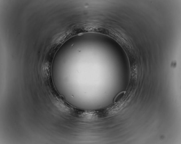 X0000100310280200806121047