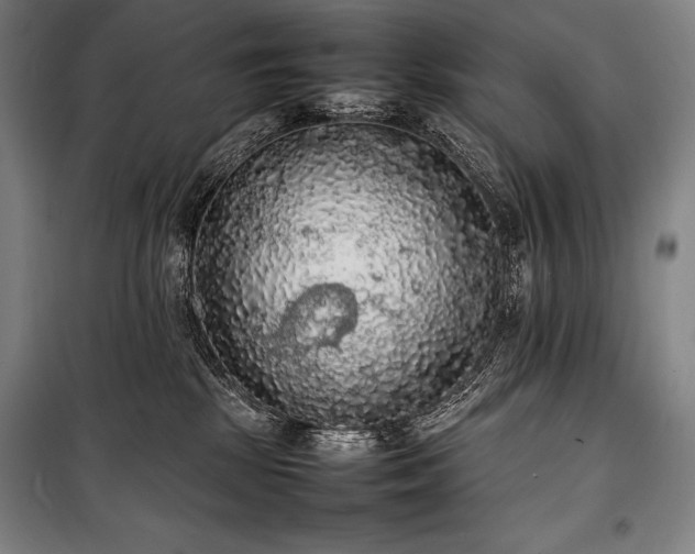 X0000100310281200806121047