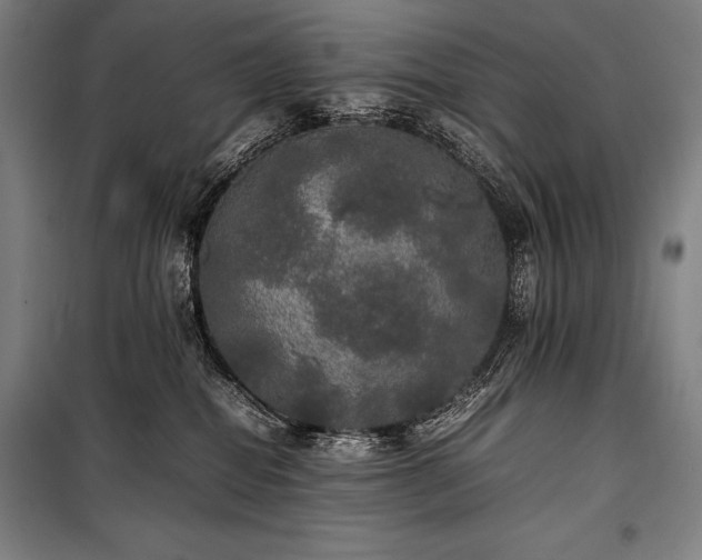 X0000100310282200806121047