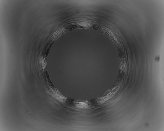 X0000100310285200806121047