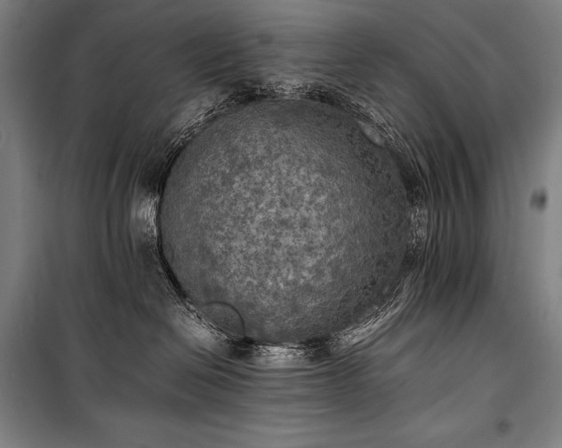 X0000100310286200806121047