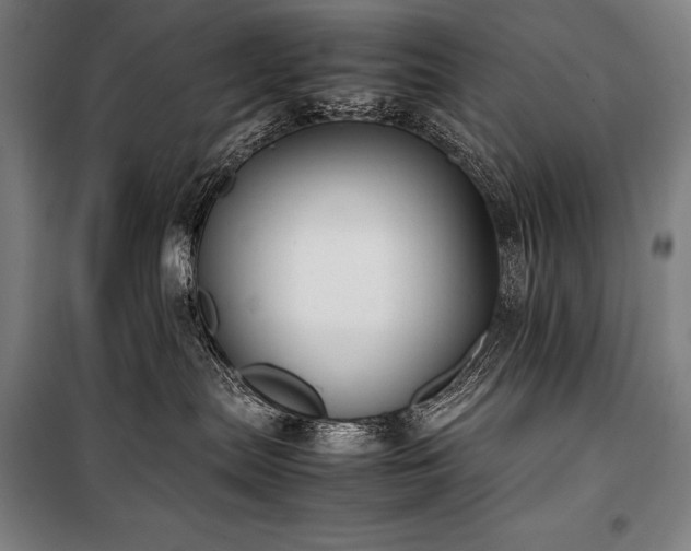 X0000100310287200806121047