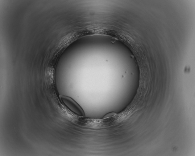 X0000100310288200806121047