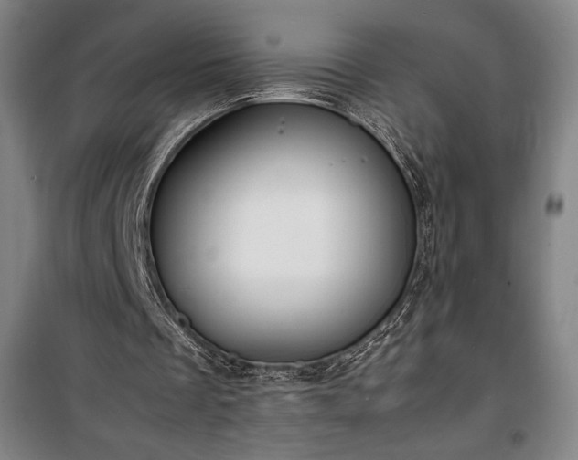 X0000100310289200806121047