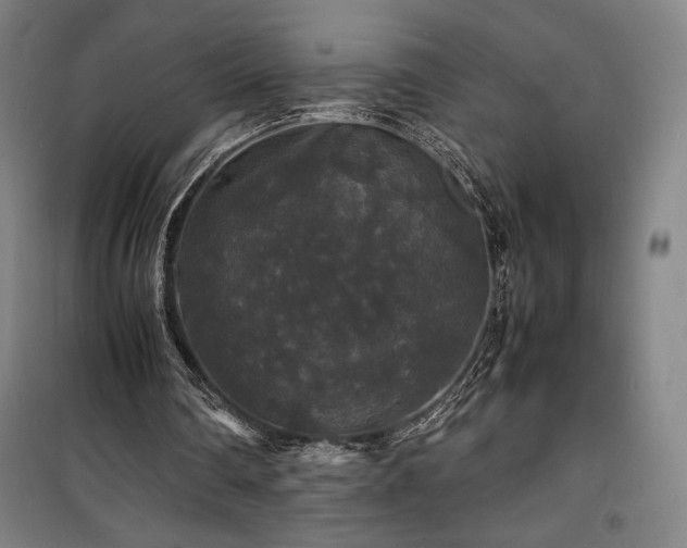 X0000100310290200806121047