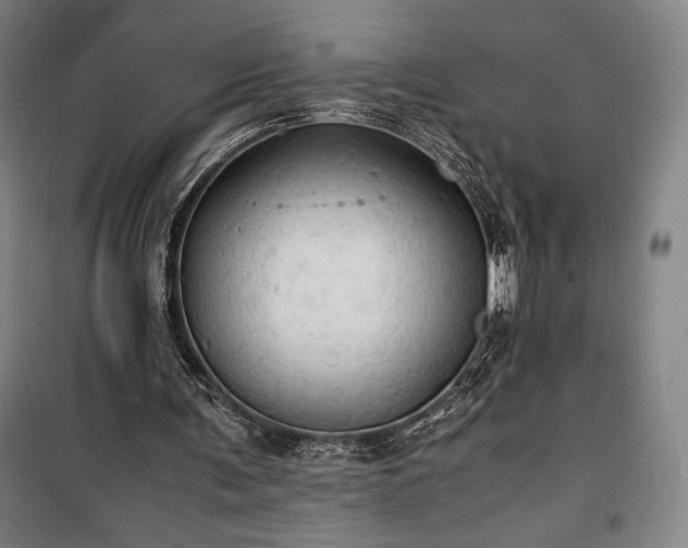 X0000100310291200806121047