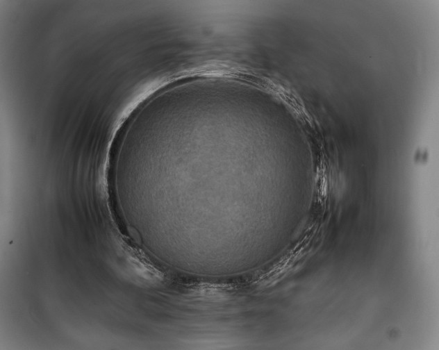 X0000100310292200806121047