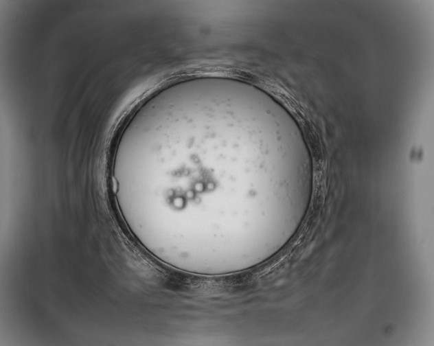 X0000100310293200806121047