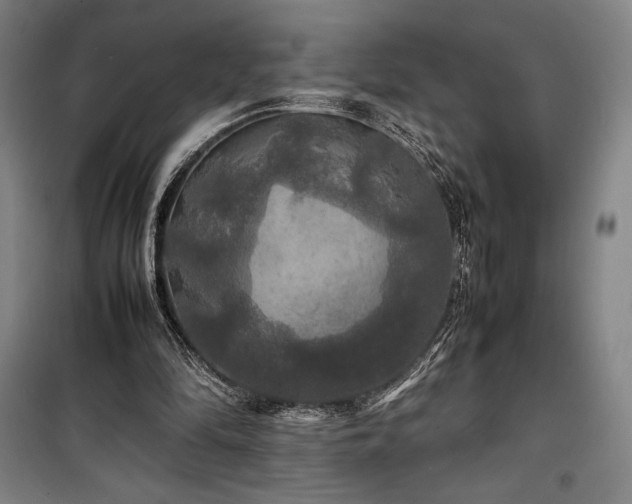 X0000100310294200806121047