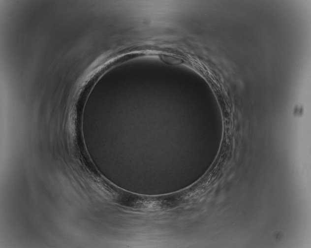 X0000100310295200806121047