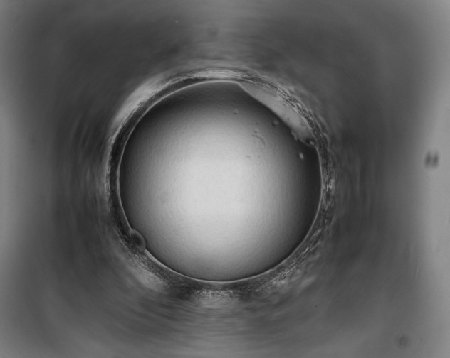 X0000100310296200806121047