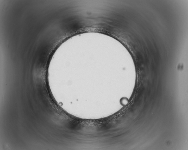X0000100310297200806121047