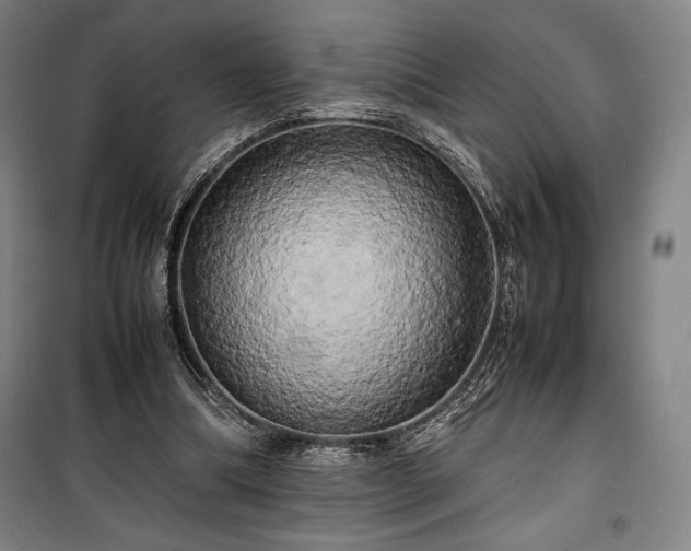 X0000100310298200806121047