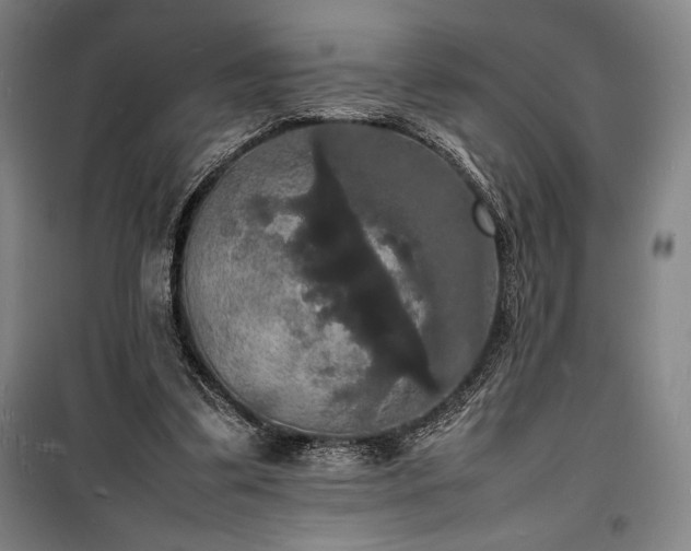 X0000100310299200806121047
