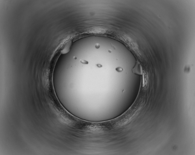 X0000100310300200806121047