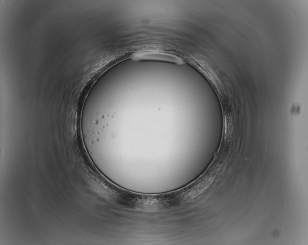 X0000100310301200806121047