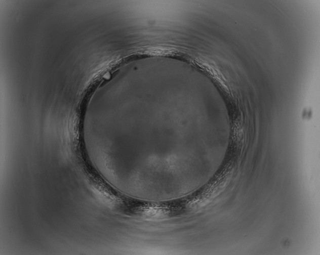 X0000100310303200806121047