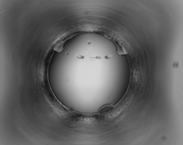 X0000100310304200806121047