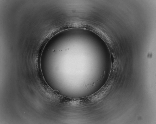 X0000100310306200806121047