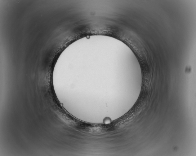 X0000100310309200806121047