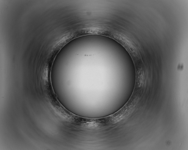 X0000100310310200806121046