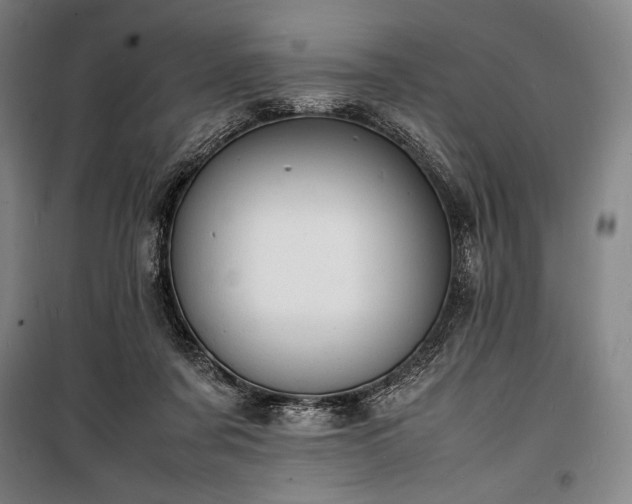 X0000100310311200806121046
