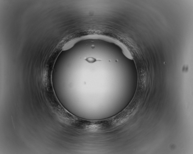 X0000100310312200806121046