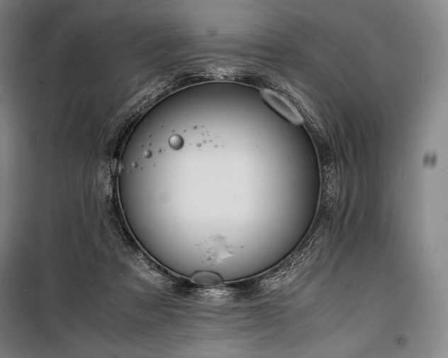 X0000100310313200806121046