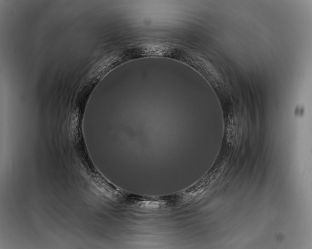 X0000100310314200806121046