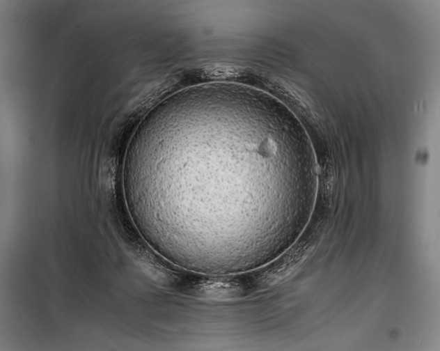 X0000100310315200806121046