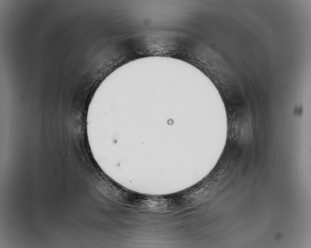 X0000100310317200806121046