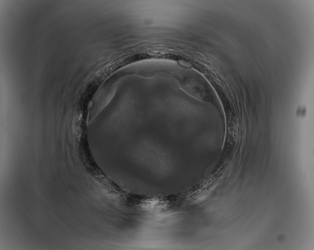 X0000100310319200806121046