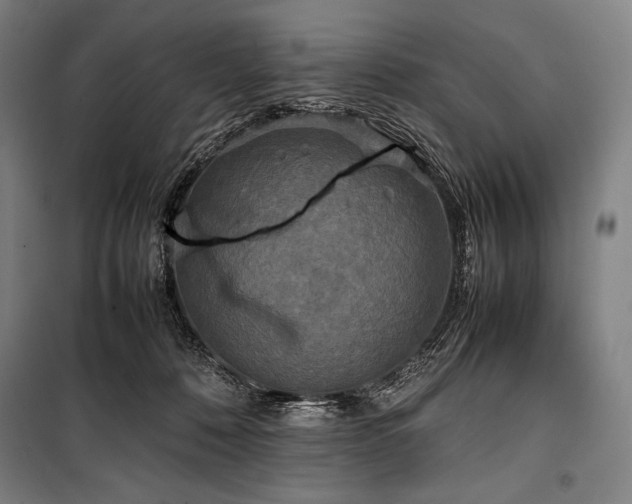 X0000100310320200806121046
