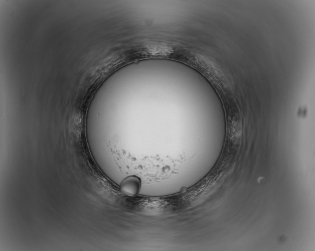 X0000100310321200806121046