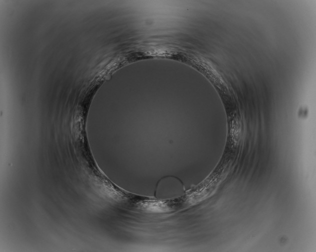 X0000100310322200806121046