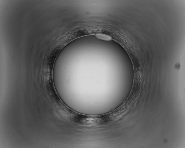X0000100310323200806121046