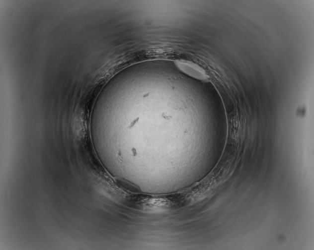 X0000100310324200806121046