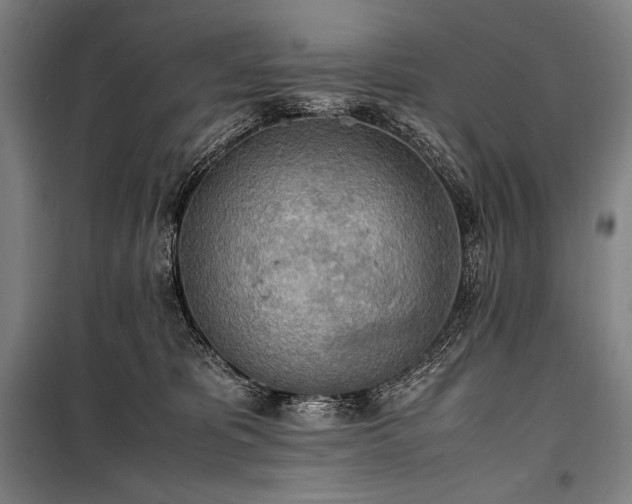 X0000100310325200806121046