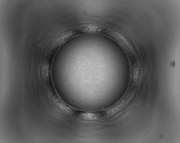 X0000100310326200806121046
