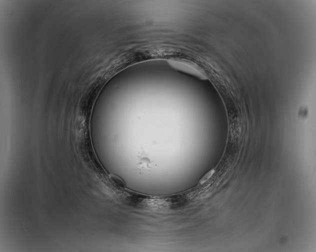 X0000100310327200806121046
