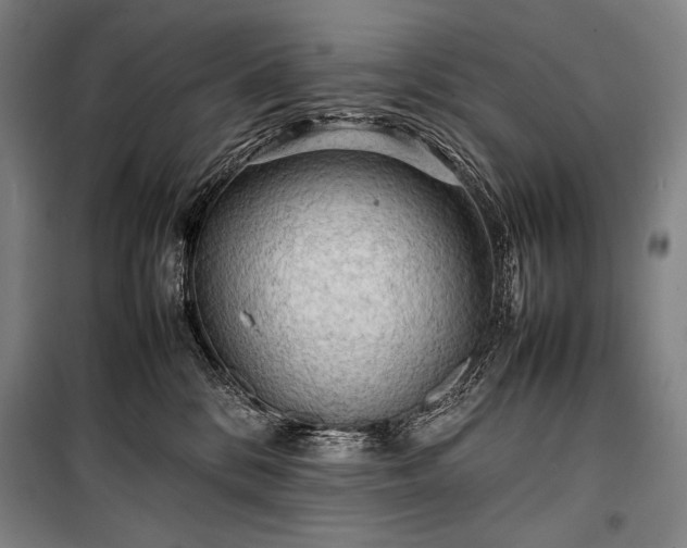 X0000100310328200806121046