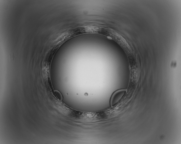 X0000100310329200806121046