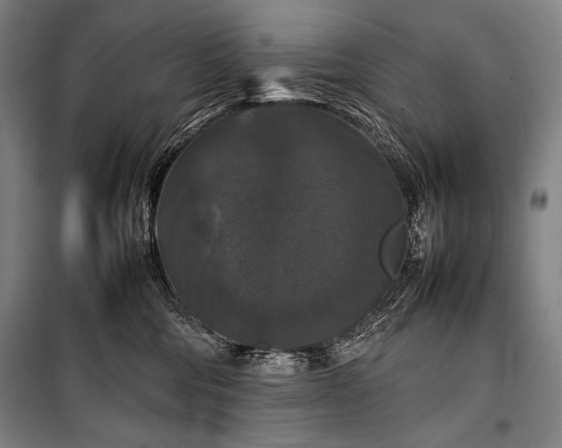 X0000100310330200806121046