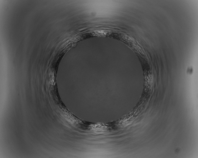 X0000100310331200806121046