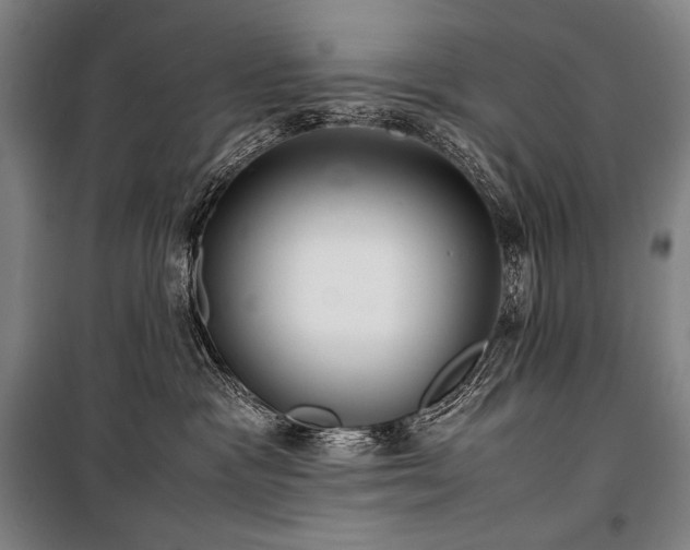 X0000100310333200806121046