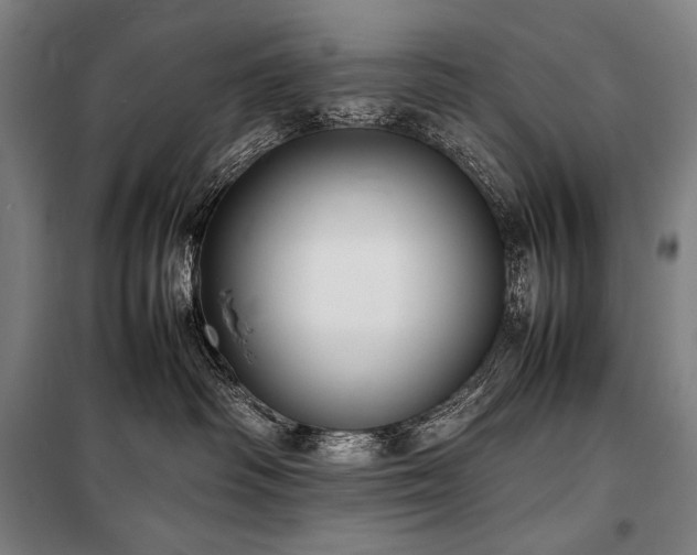 X0000100310334200806121046