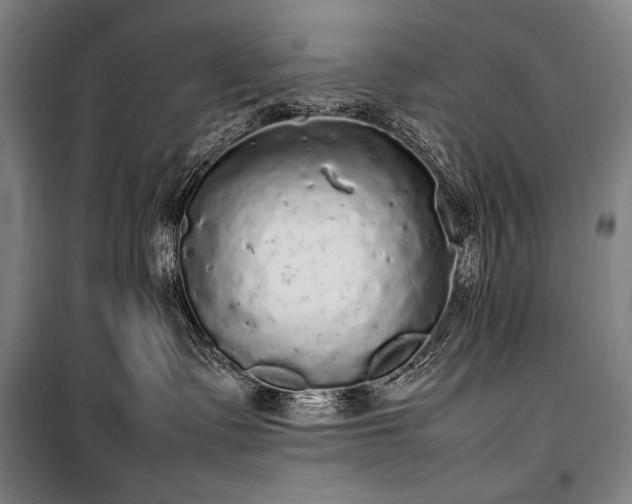 X0000100310335200806121046