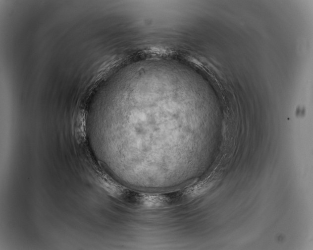 X0000100310336200806121046