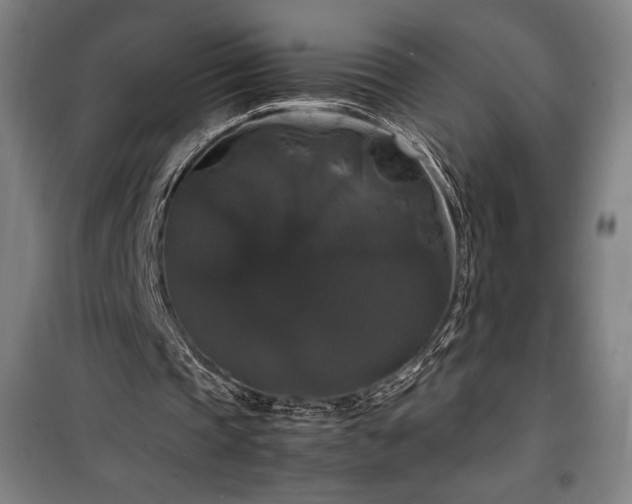 X0000100310337200806121045